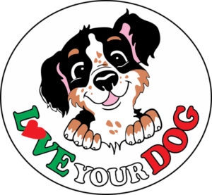 dog training club love your dog