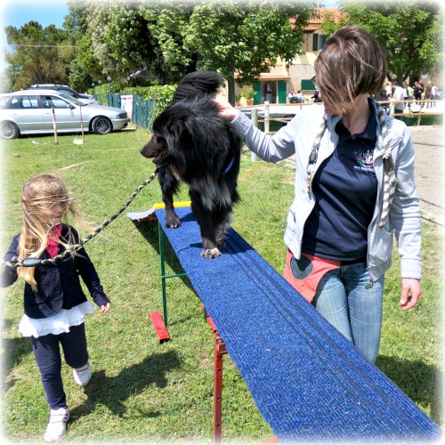 pet therapy macerata