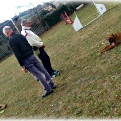 educazione cinofila macerata bianco