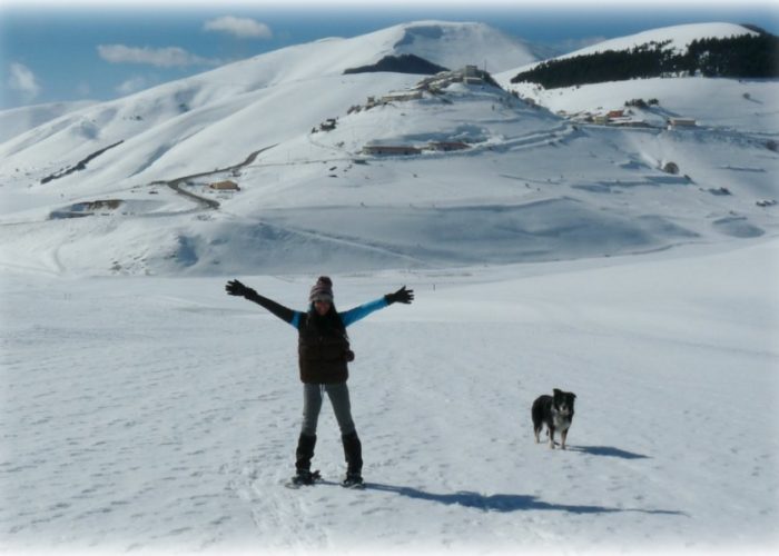 escursioni a 6 zampe trekking